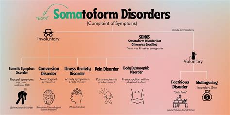 somatoform-disorders-diagram-otdude-academy – OT Dude