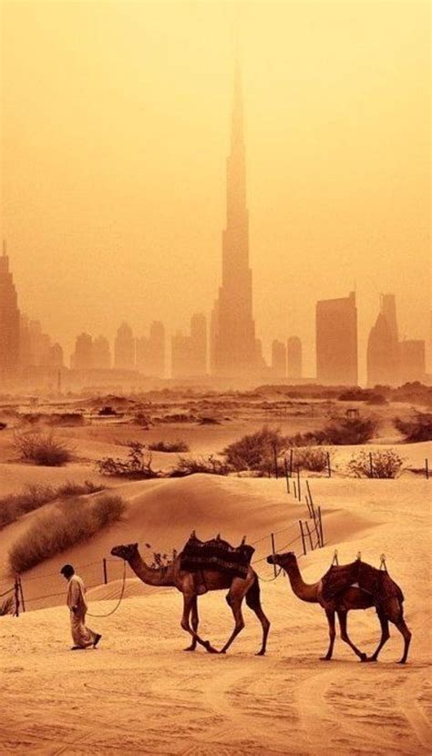 Middle East Desert Wallpaper