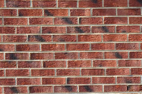 Brick Wall Free Stock Photo - Public Domain Pictures