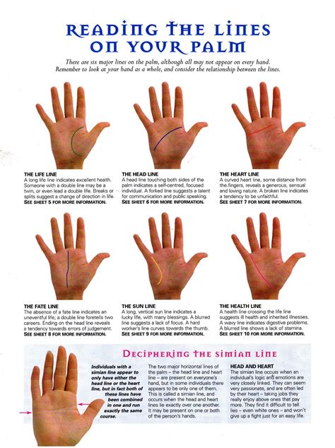 5022daa6b348cb868430216d867943ea.jpg 1,200×1,604 pixels | Palmistry, Palm reading, Palm reader