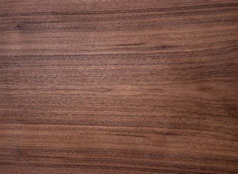 Black Walnut Wood for Luxury Humidors | Technical Details and Fun Facts — Centient Luxury Humidors