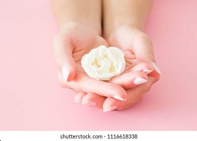 107,891 Soft Hands Flowers Images, Stock Photos, 3D objects, & Vectors | Shutterstock