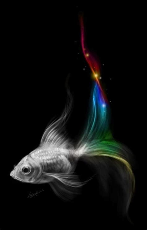 Fish Art