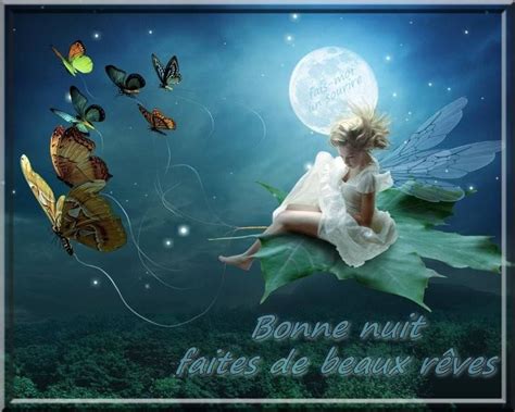 Bonne nuit, faites de beaux rêves #bonnenuit beaux reves fee papillon pleine lune nature | Art ...