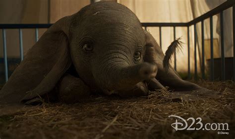 No Feathers Needed—How the Dumbo VFX Team Made an Elephant Fly - D23