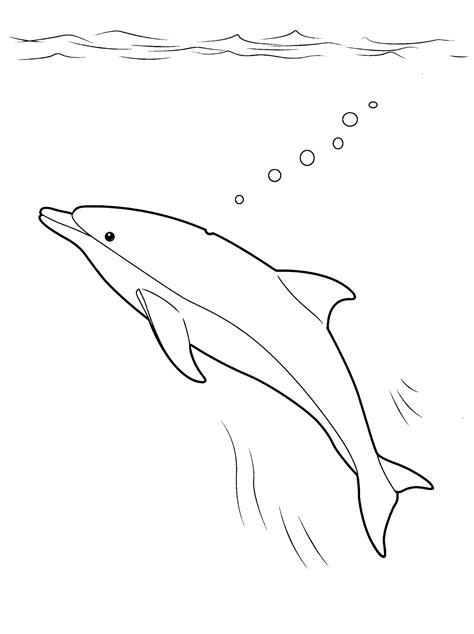 Coloring page - Dolphin