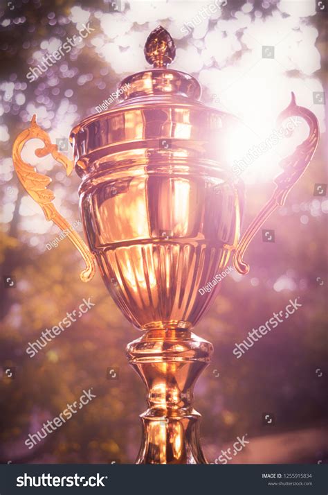 Vintage Gold Trophy Stock Photo 1255915834 | Shutterstock
