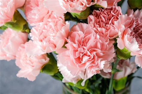 Best Sympathy Flowers: 12 Florals, Their Meaning and Etiquette Tips