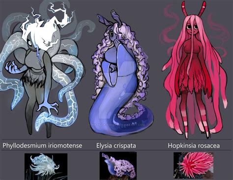 Sea Slugs Week 3 | Gijinka / Moe Anthropomorphism | Fantasy character design, Creature concept ...