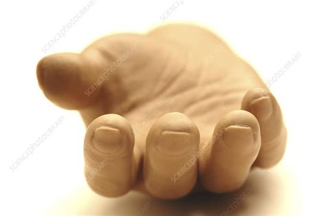 Prosthetic hand - Stock Image - M610/0102 - Science Photo Library