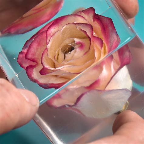 Resin Flowers - Resin and Dried Flower Encapsulation Paperweight ...