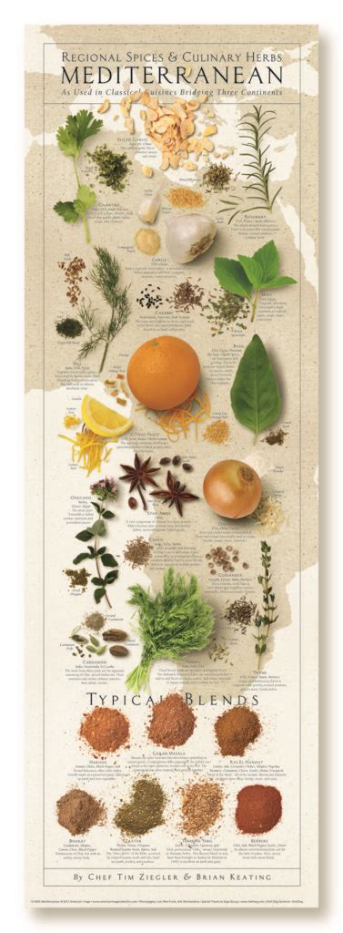 Mediterranean Regional Spices & Herbs Print - Chef Zieg