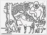 Jungle Animal coloring Pages To Download And Print For Free sketch template