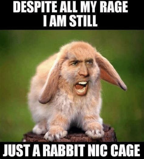 Nicolas Cage thinks the Cage Rage memes are a "disservice" to his new ...