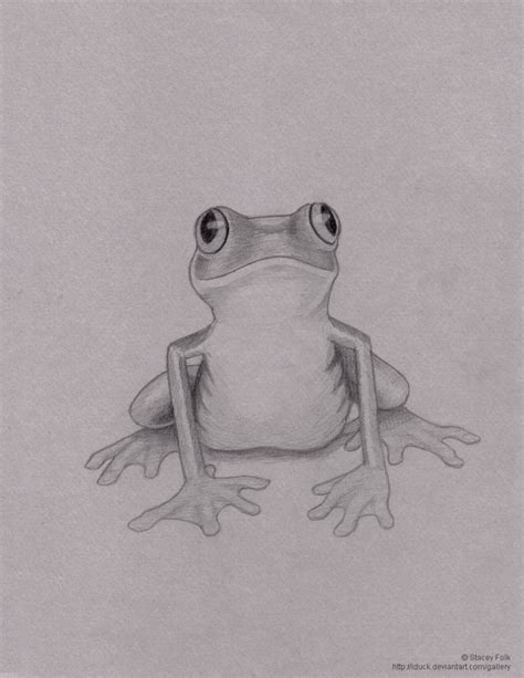 Frog Pencil Drawing at PaintingValley.com | Explore collection of Frog Pencil Drawing