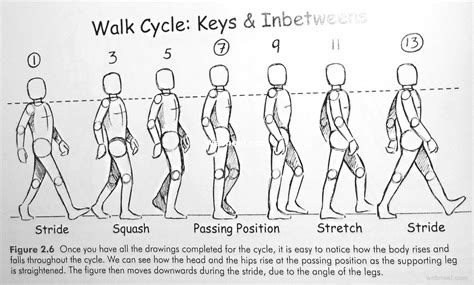 Walk Cycle Animation Walking 5