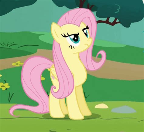 Why Not Fluttershy Xd GIF - Find & Share on GIPHY