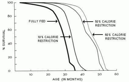 Does Fasting Make You Live Longer? - Caloric Restriction, Fasting, and ...