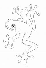 Free Printable Frog Coloring Pages For Kids sketch template