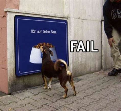 25 best FAIL pics (25 pics)