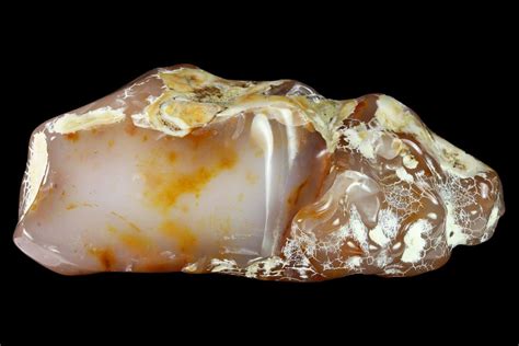 4.4" Pink Agate Petrified Wood Limb Cast - Nevada (#152124) For Sale ...