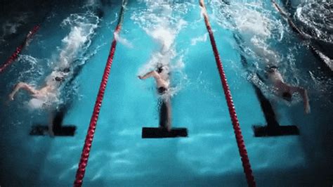 Swimming GIFs - Get the best GIF on GIPHY