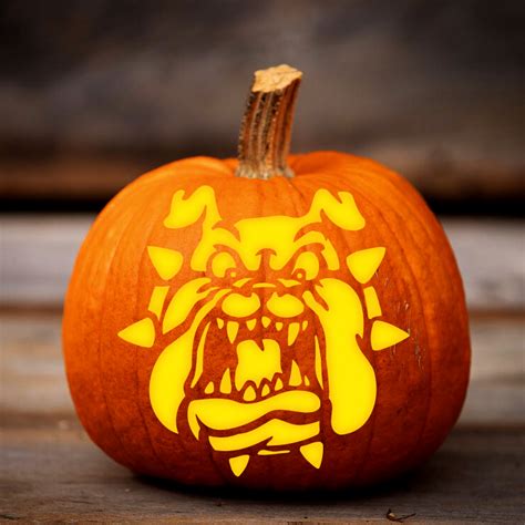 Bulldog Pumpkin Stencil