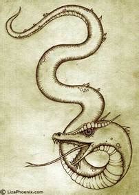 Wyrm - Mythical Creatures