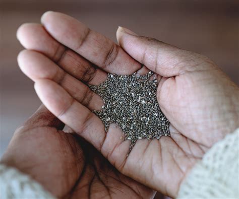 How to harvest chia seeds: 5 tips for collecting these grains | Homes & Gardens