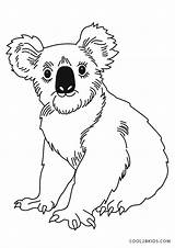 Free Printable Koala Coloring Pages For Kids sketch template