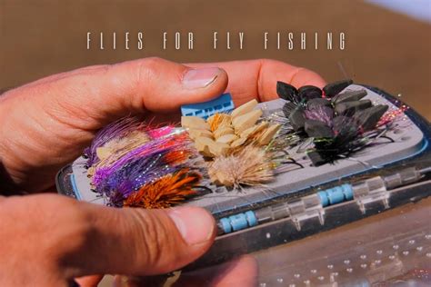 Types of Flies for Fly Fishing (CHOOSE THE RIGHT FLY!)