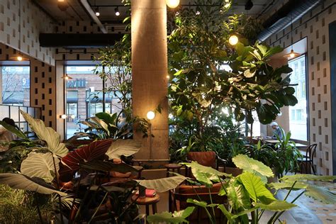 Devoción Coffee, Downtown Brooklyn | plantwalldesign