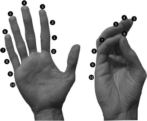 Kapandji thumb opposition scores. A score of 0 indicates no opposition,... | Download Scientific ...