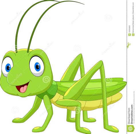 Illustration about Cute grasshopper cartoon isolated on white background. Illustration of cute ...