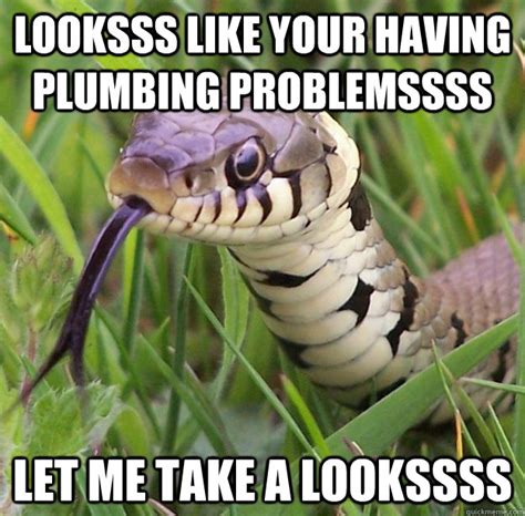 Plumbing Snake memes | quickmeme