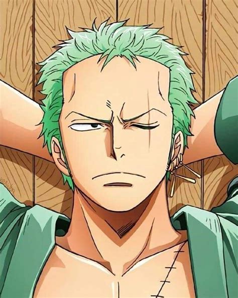 Pin on Zoro one piece