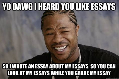 YO DAWG I HEArd you likE essays so i wrote an essay about my essays, so ...