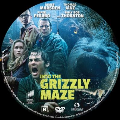 CoverCity - DVD Covers & Labels - Into the Grizzly Maze