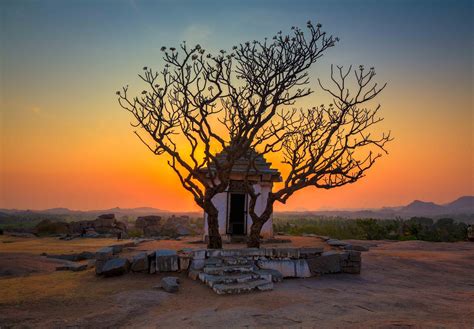 Hampi Tree Photography Print Nature Landscape Sunset - Etsy