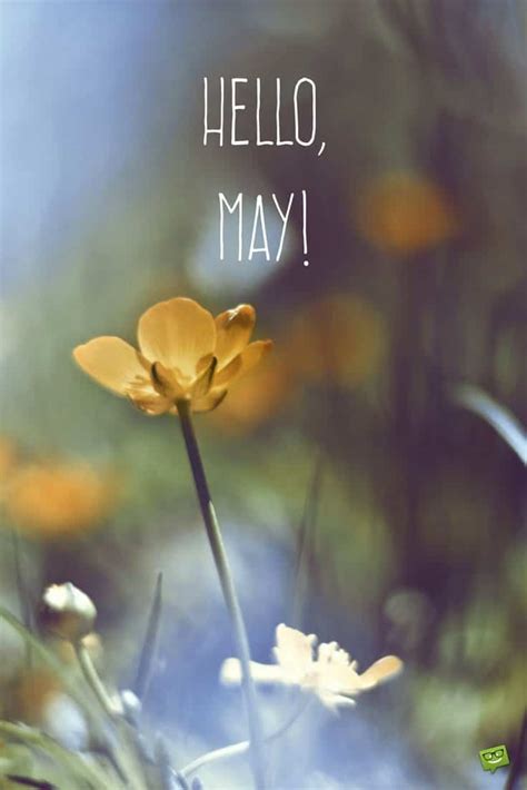 Hello May Quotes Printable | Oppidan Library