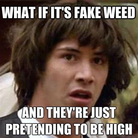 ﻿WHAT IF ITS FAKE WEED AND THEY'RE JUST PRETENDING TO BE HIGH / weed :: Conspiracy Keanu :: what ...