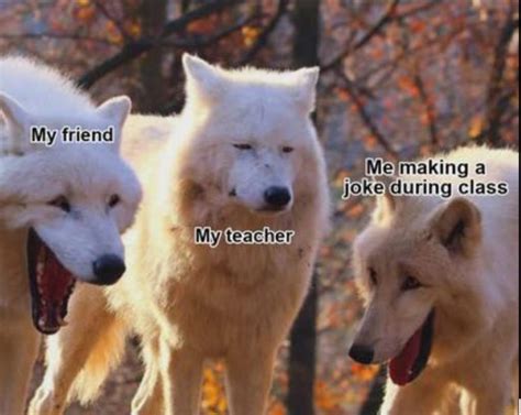 2 dogs laughing while one in the middle re thinks life choices : r/MemeTemplatesOfficial