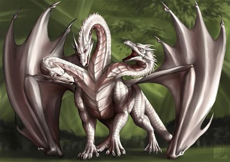 Present: three-head dragon by Niabolla | Mythical creatures art, Female dragon, Dragon art