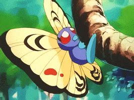 Metapod GIFs - Find & Share on GIPHY