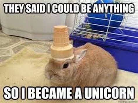 20 Ridiculous Unicorn Memes That Will Make You Laugh - CheezCake ...