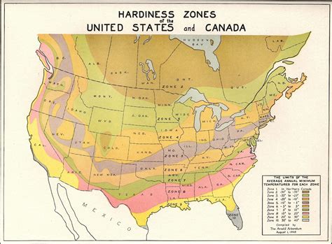 Us Plant Hardiness Zone Map 2024 - Kaja Salome