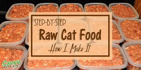 Raw Cat Food - How to make raw cat food - Savvy Pet Care