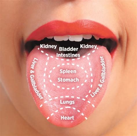 BRMI | Diagnostics - TCM Tongue Diagnosis