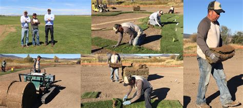 Expert Grass Sod Company in Colorado | Emerald Sod Farms