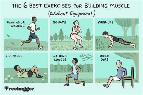 6 Exercises for Building Muscle Without Equipment – FitOlympia